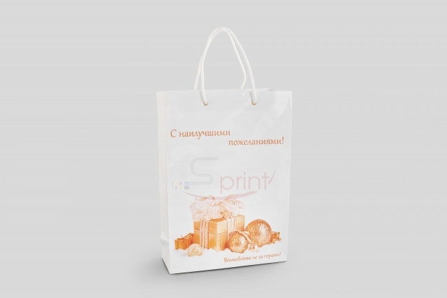 Портфолио sprintsalon.by