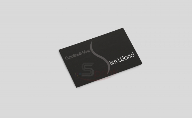 Визитки sprintsalon.by